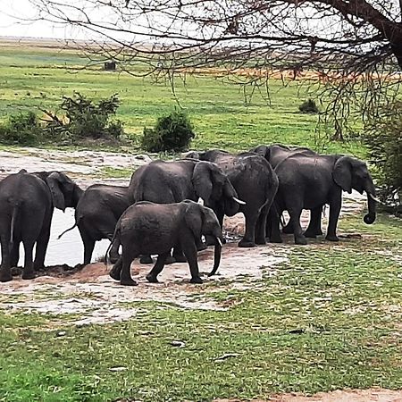 Mwandi View Hotell Kavimba Eksteriør bilde